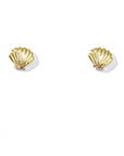 Shelly Seashell Studs
