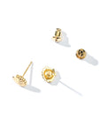 Shelly Seashell Studs