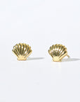 Shelly Seashell Studs