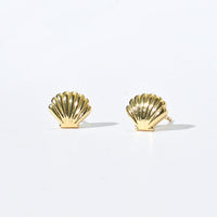 Shelly Seashell Studs