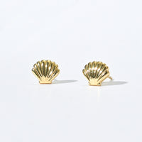Shelly Seashell Studs