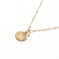 Sea Scallop Necklace