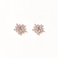 Diamond Dust | Rose Gold