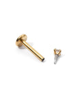 Chelle Mini 2mm Flatback Earring |Clear Gold