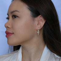 Danica In Love Dangles