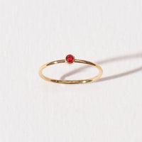 Birthstone Rings | January
