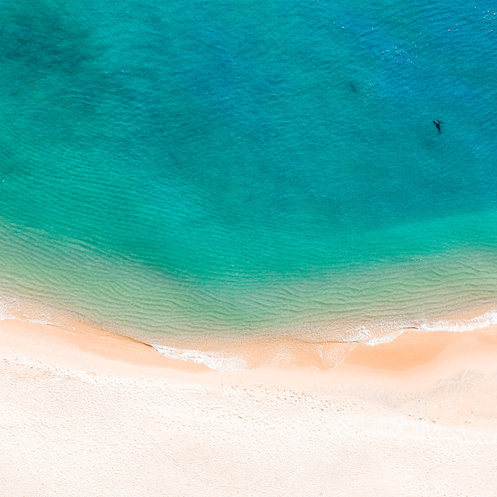 Vacation Edit