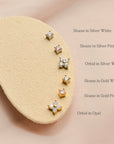 Orkid Studs | Opal Gold