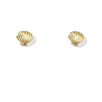 Shelly Seashell Studs