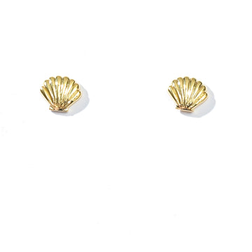 Shelly Seashell Studs