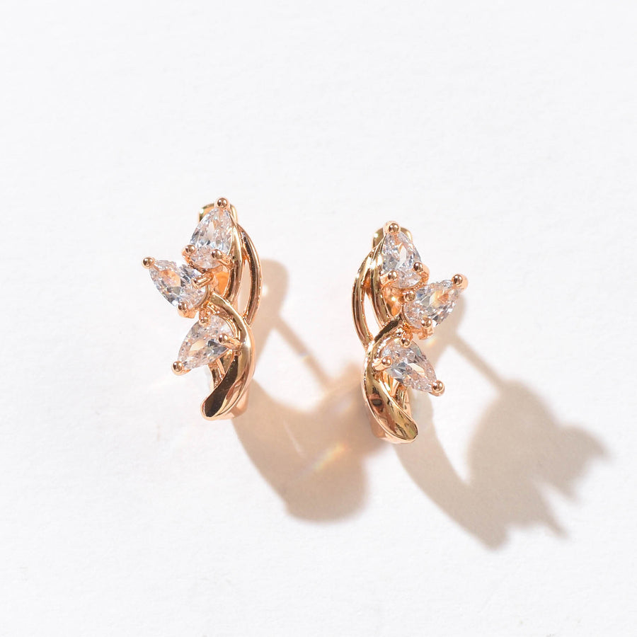 Amira Lattice Hoops