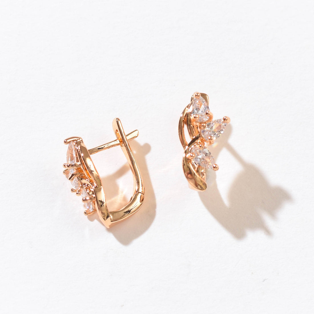 Amira Lattice Hoops