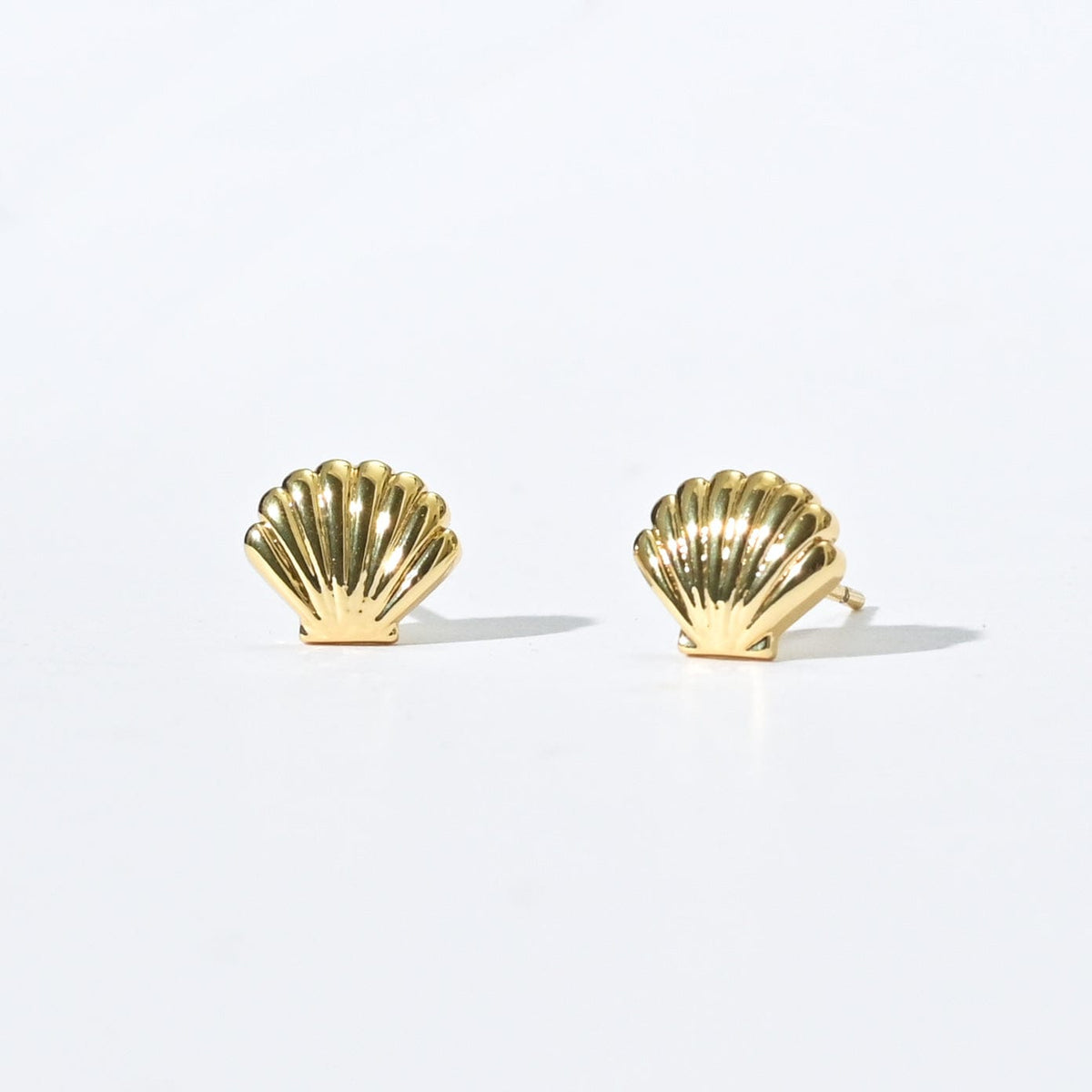 Shelly Seashell Studs