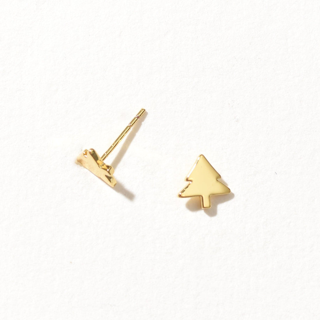 Norway Spruce | Gold