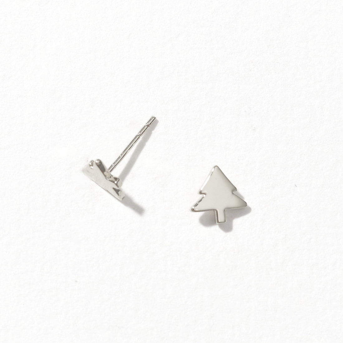Norway Spruce | Silver