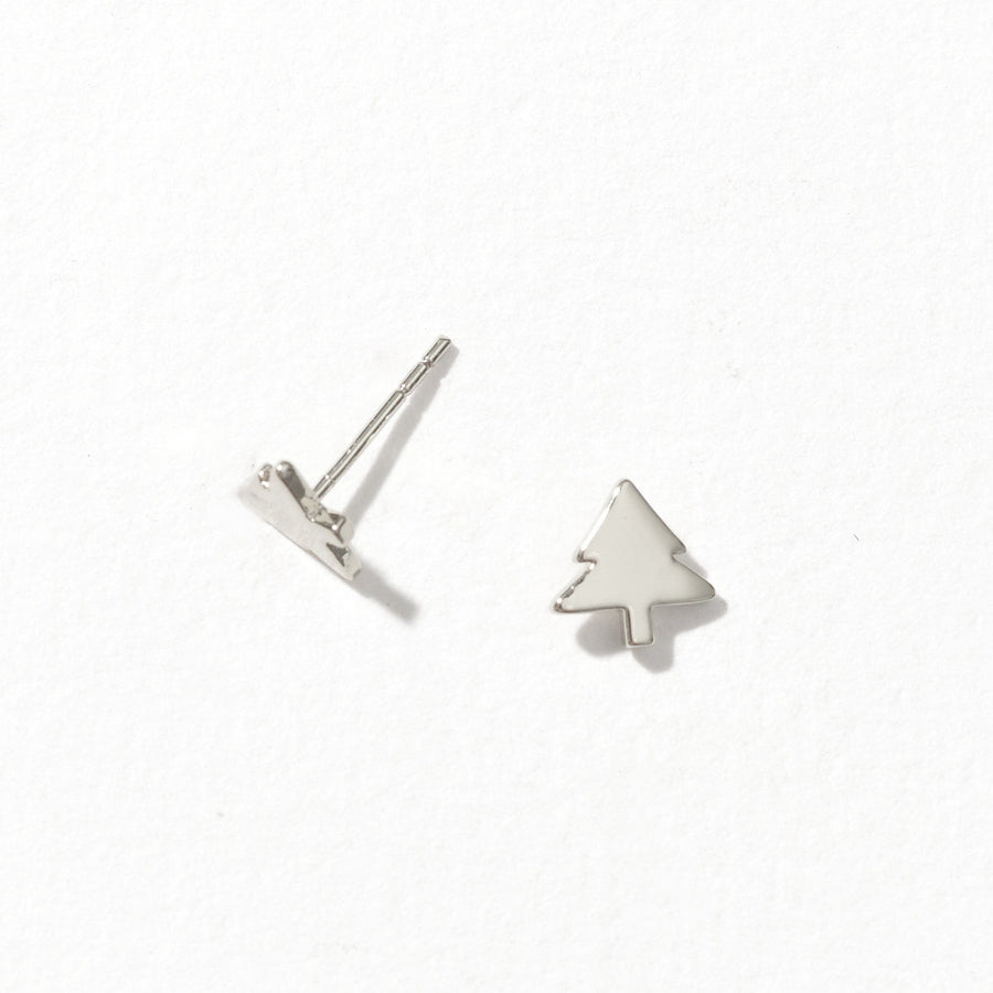 Norway Spruce | Silver