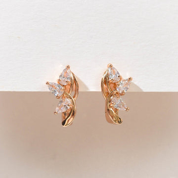 Amira Lattice Hoops