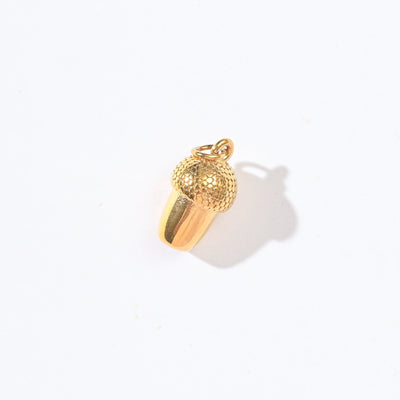 Winter Acorn | Charm