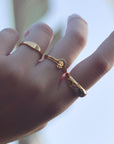 Dollar Ring