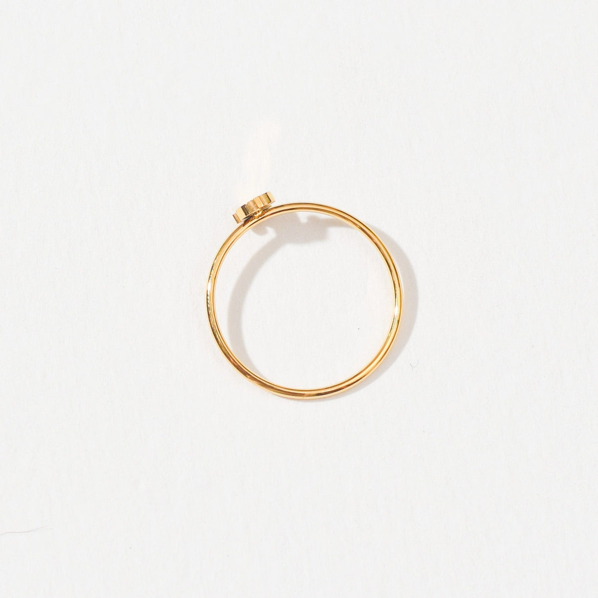 Dollar Ring