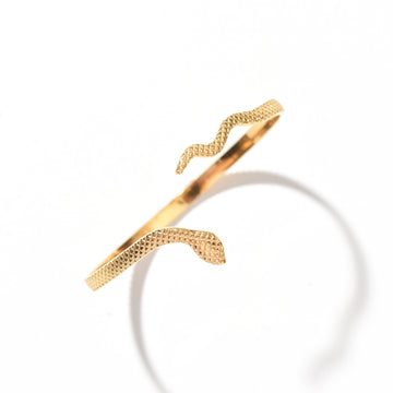 Serpentine Bangle SST