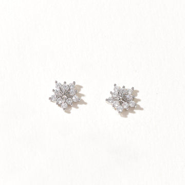Diamond Dust | Silver