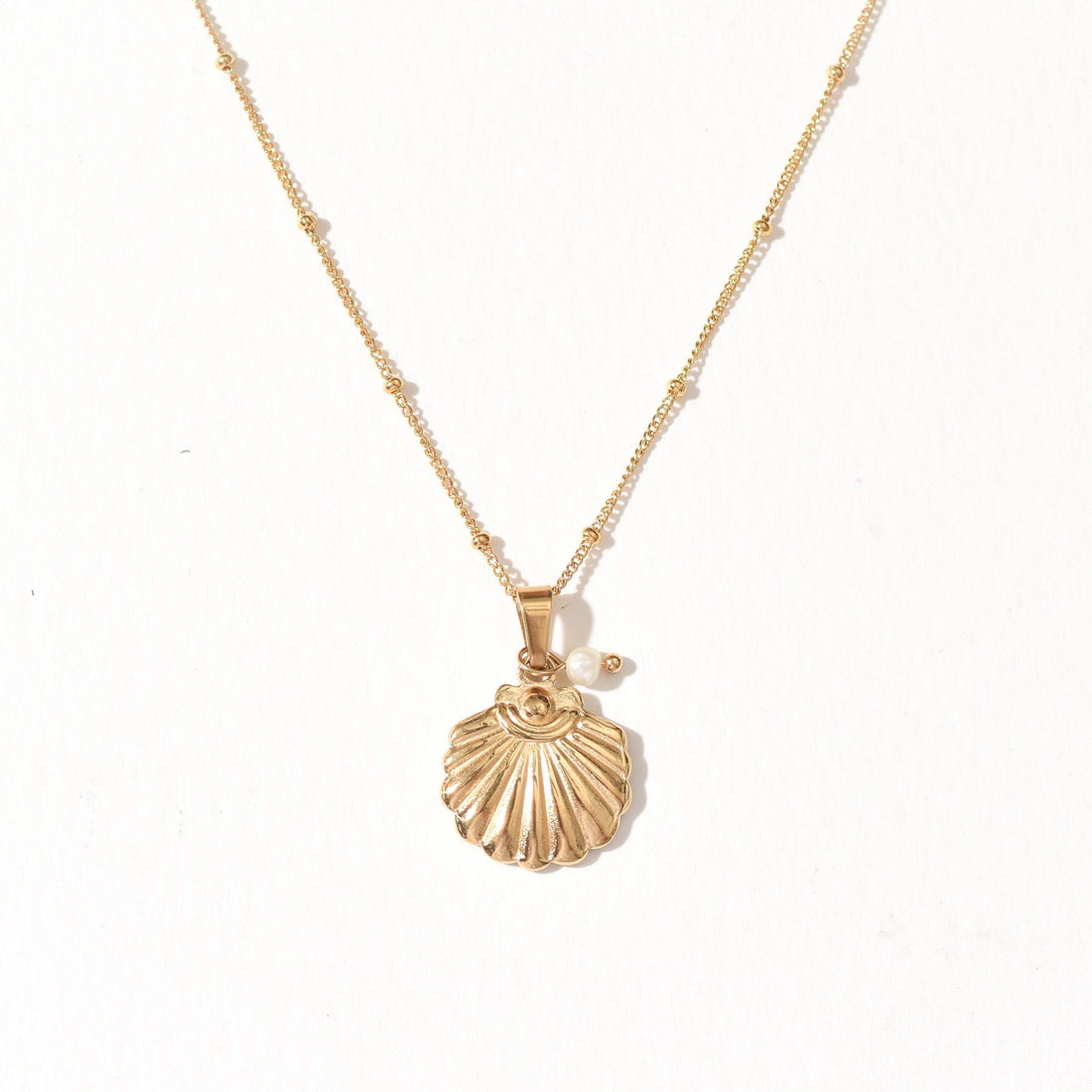 Sea Scallop Necklace