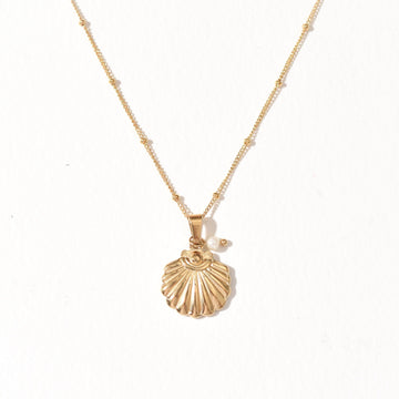 Sea Scallop Necklace