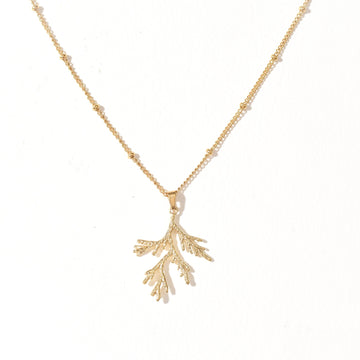 Lady Coral Necklace